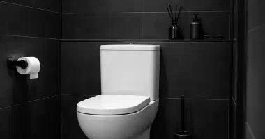 Best Back-to-Wall Toilets for Small Bathrooms