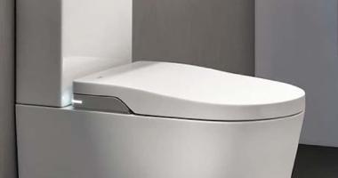 Roca In-Wash Inspira Review: Close-Coupled Smart Toilet Tested